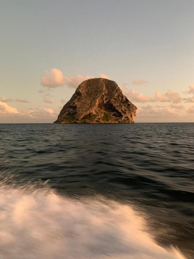 Les Plages De Macabou Le Vauclin Exterior foto